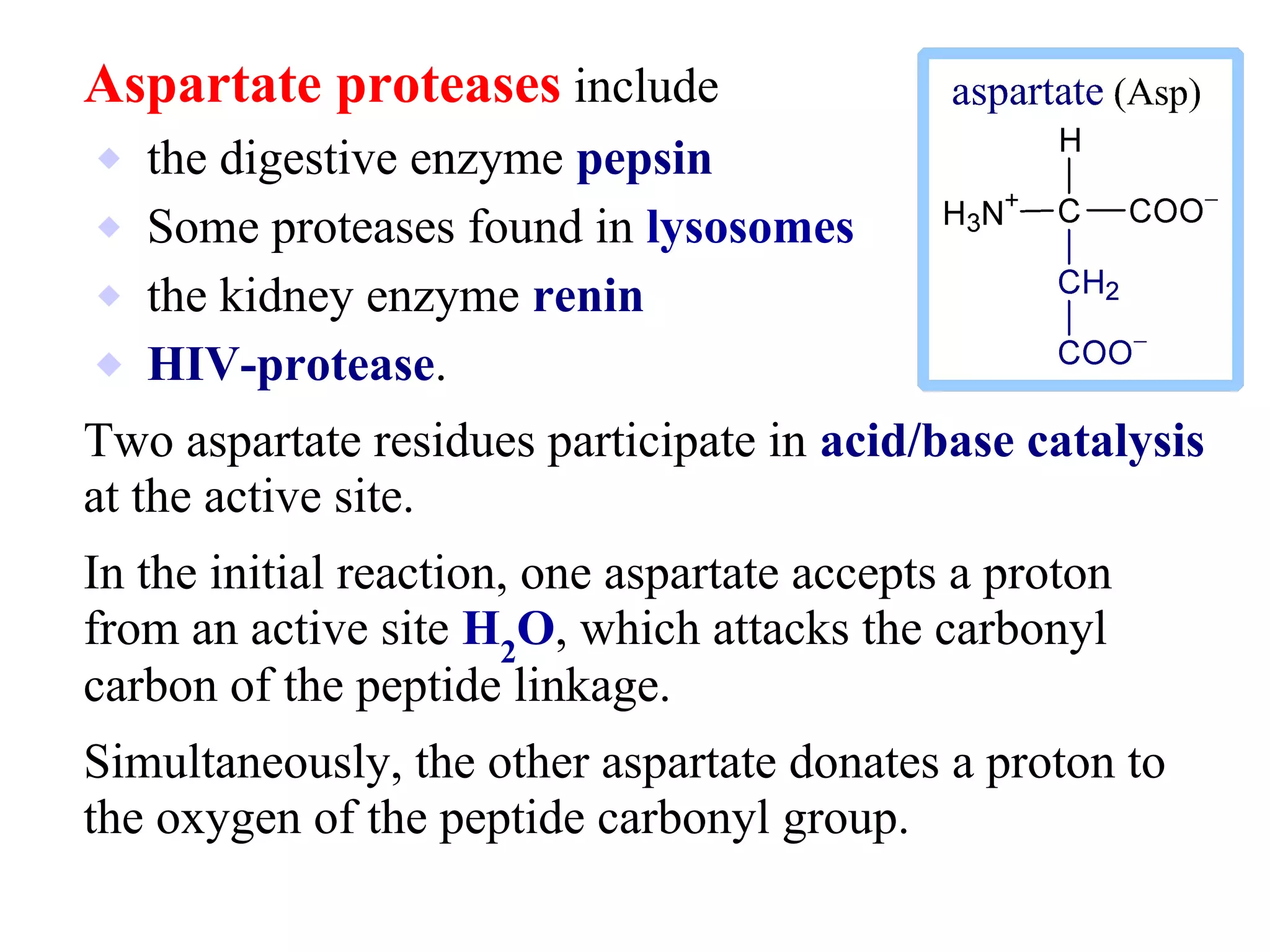 Aspartate proteases include
⬥ the digestive enzyme pepsin
⬥ Some proteases found in lysosomes
⬥ the kidney enzyme renin
⬥ HIV-protease.
Two aspartate residues participate in acid/base catalysis
at the active site.
In the initial reaction, one aspartate accepts a proton
from an active site H2
O, which attacks the carbonyl
carbon of the peptide linkage.
Simultaneously, the other aspartate donates a proton to
the oxygen of the peptide carbonyl group.
 