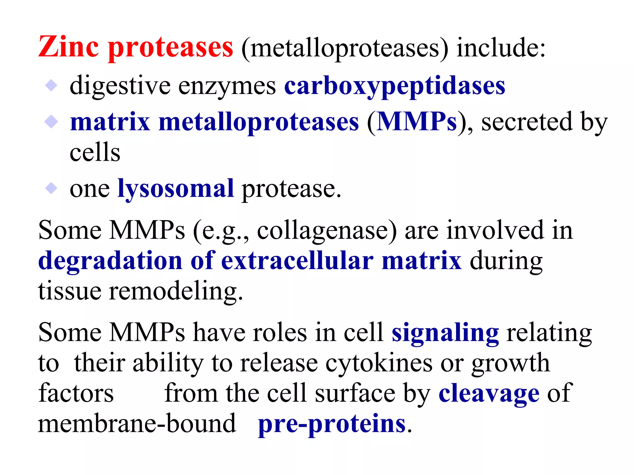 Zinc proteases (metalloproteases) include:
⬥ digestive enzymes carboxypeptidases
⬥ matrix metalloproteases (MMPs), secreted by
cells
⬥ one lysosomal protease.
Some MMPs (e.g., collagenase) are involved in
degradation of extracellular matrix during
tissue remodeling.
Some MMPs have roles in cell signaling relating
to their ability to release cytokines or growth
factors from the cell surface by cleavage of
membrane-bound pre-proteins.
 