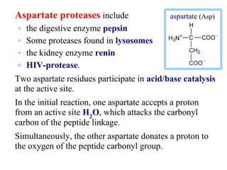 Aspartate proteases include
⬥ the digestive enzyme pepsin
⬥ Some proteases found in lysosomes
⬥ the kidney enzyme renin
⬥ HIV-protease.
Two aspartate residues participate in acid/base catalysis
at the active site.
In the initial reaction, one aspartate accepts a proton
from an active site H2
O, which attacks the carbonyl
carbon of the peptide linkage.
Simultaneously, the other aspartate donates a proton to
the oxygen of the peptide carbonyl group.
 