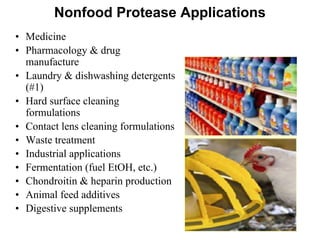 Nonfood Protease Applications
• Medicine
• Pharmacology & drug
manufacture
• Laundry & dishwashing detergents
(#1)
• Hard surface cleaning
formulations
• Contact lens cleaning formulations
• Waste treatment
• Industrial applications
• Fermentation (fuel EtOH, etc.)
• Chondroitin & heparin production
• Animal feed additives
• Digestive supplements
 