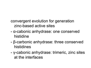 convergent evolution for generation
zinc-based active sites
- α-cabonic anhydrase: one conserved
histidine
- β-carbonic anhydrase: three conserved
histidines
- γ-cabonic anhydrase: trimeric, zinc sites
at the interfaces
 