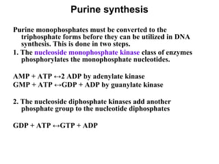 Purine synthesis
Purine monophosphates must be converted to the
triphosphate forms before they can be utilized in DNA
synthesis. This is done in two steps.
1. The nucleoside monophosphate kinase class of enzymes
phosphorylates the monophosphate nucleotides.
AMP + ATP ↔2 ADP by adenylate kinase
GMP + ATP ↔GDP + ADP by guanylate kinase
2. The nucleoside diphosphate kinases add another
phosphate group to the nucleotide diphosphates
GDP + ATP ↔GTP + ADP
 