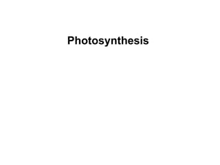 Photosynthesis
 