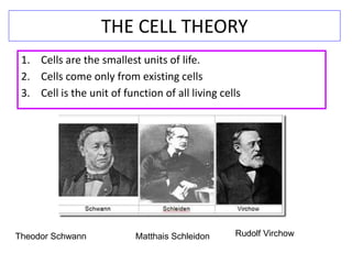 THE CELL THEORY
1. Cells are the smallest units of life.
2. Cells come only from existing cells
3. Cell is the unit of function of all living cells
Theodor Schwann Matthais Schleidon Rudolf Virchow
 