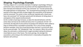 Therapeutic approaches to counselling.pptx