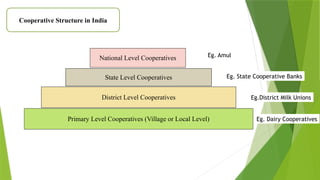 Cooperative Structure in India
Primary Level Cooperatives (Village or Local Level)
District Level Cooperatives
State Level Cooperatives
National Level Cooperatives
Eg. Dairy Cooperatives
Eg.District Milk Unions
Eg. State Cooperative Banks
Eg. Amul
 