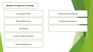 Benefits of Cooperative Farming
Economies of Scale
Better Market Access
Risk Sharing
Access to Credit & Subsidies
Increased Productivity
Infrastructure Development
Employment Generation
 