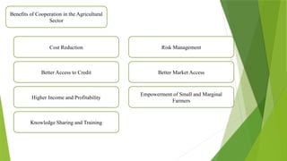 Benefits of Cooperation in the Agricultural
Sector
Cost Reduction
Better Access to Credit
Higher Income and Profitability
Knowledge Sharing and Training
Risk Management
Better Market Access
Empowerment of Small and Marginal
Farmers
 