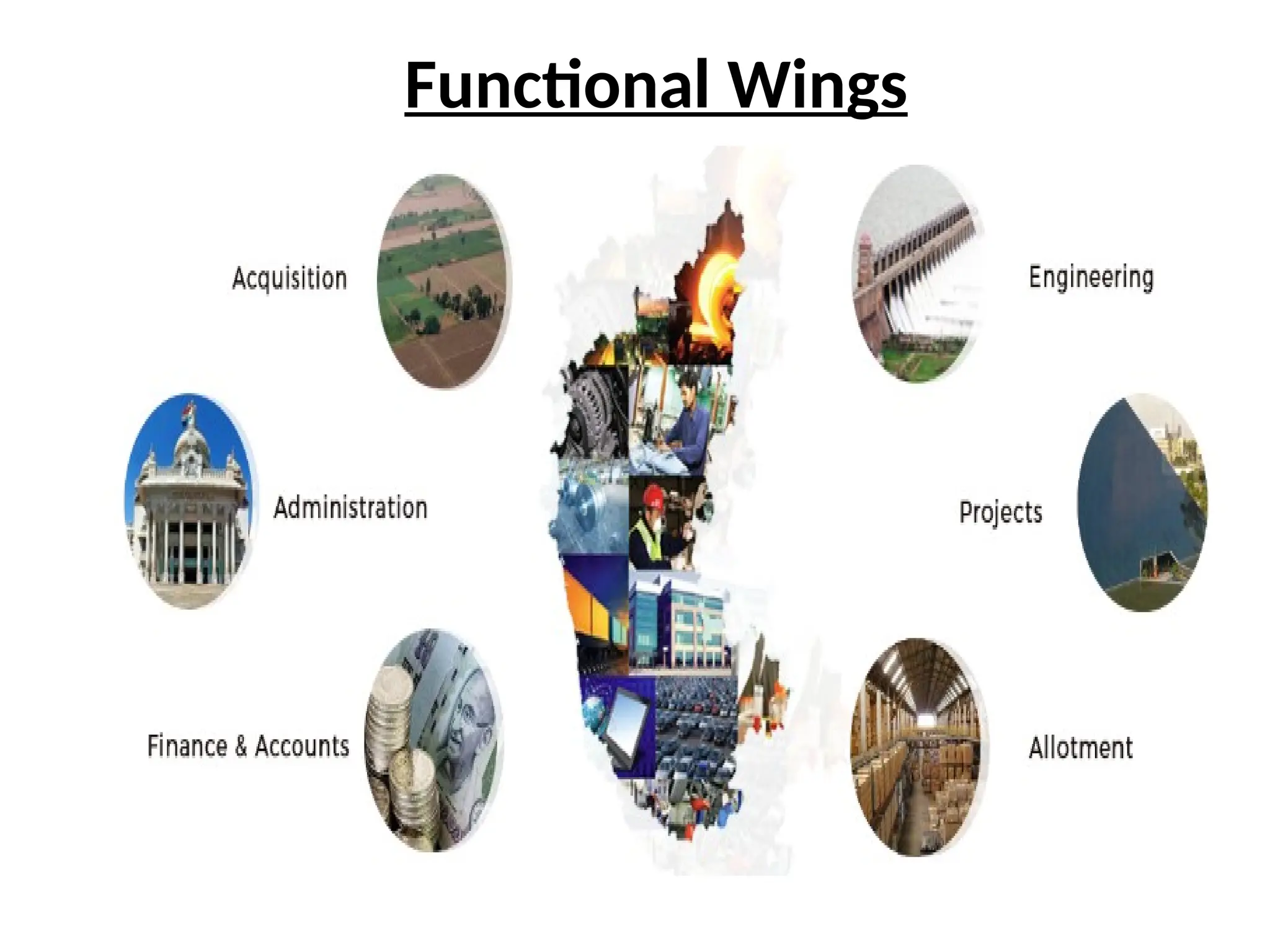 Functional Wings
 