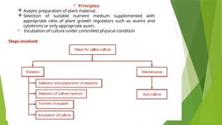 Plant Tissue Culture Techniques and Applications | PPTX
