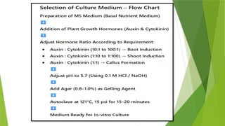Plant Tissue Culture Techniques and Applications | PPTX