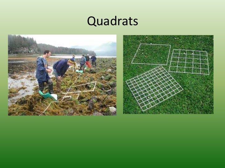 Measuring Biodiversity