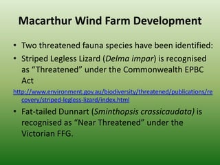 Macarthur Wind Farm DevelopmentTwo threatened fauna species have been identified: Striped Legless Lizard (Delmaimpar) is recognised as “Threatened” under the Commonwealth EPBC Acthttp://www.environment.gov.au/biodiversity/threatened/publications/recovery/striped-legless-lizard/index.htmlFat-tailed Dunnart (Sminthopsiscrassicaudata) is recognised as “Near Threatened” under the Victorian FFG.