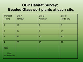 OBP Habitat Survey:  Beaded Glasswort plants at each site.
