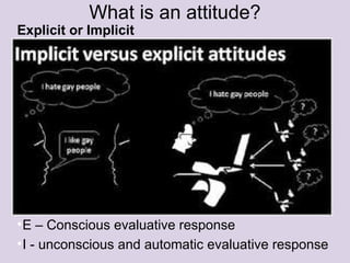 Understanding Attitudes, Personality, and Workplace Values for ...