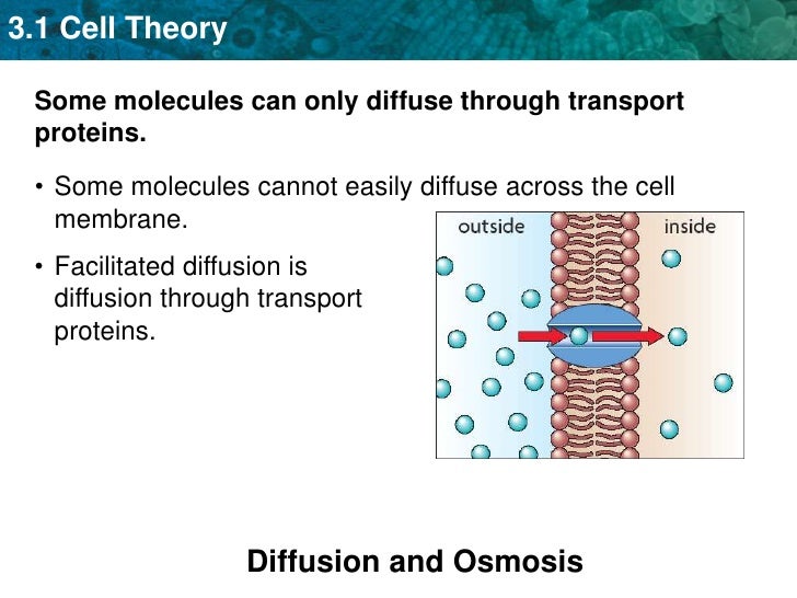Is osmosis a type of diffusion