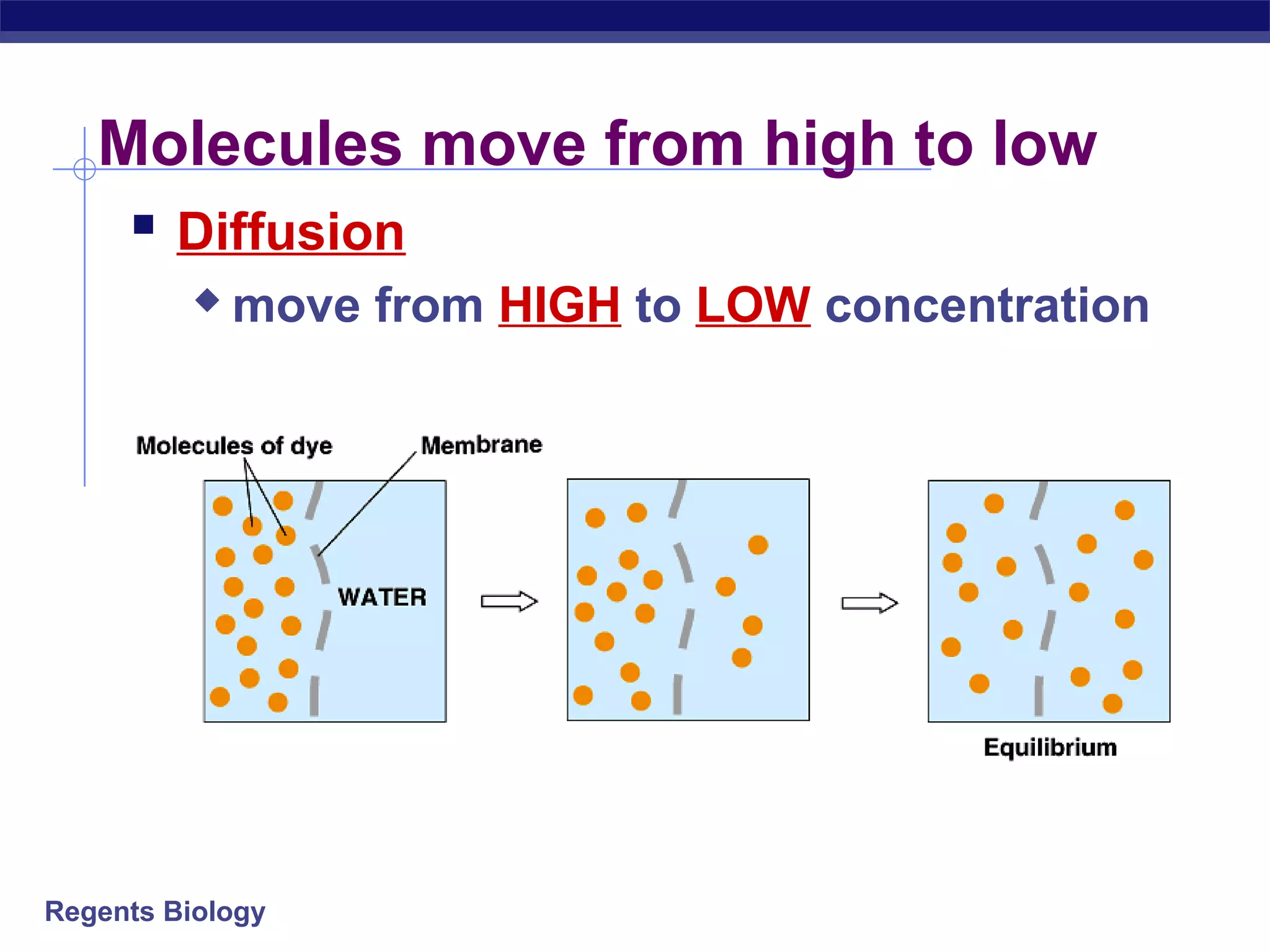 Molecules move from high to low 
 Diffusion 
 move from HIGH to LOW concentration 
Regents Biology 
 