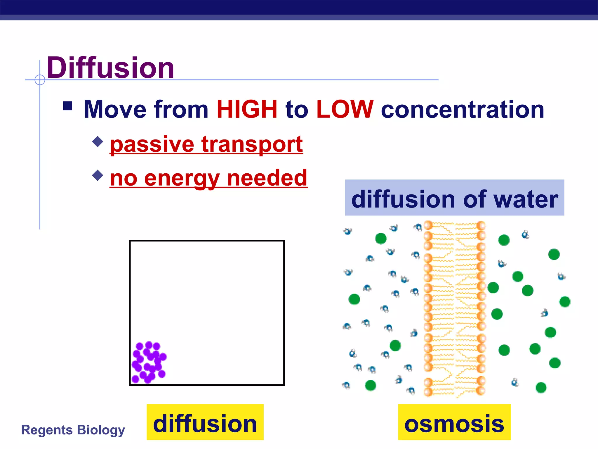 Diffusion 
 Move from HIGH to LOW concentration 
 passive transport 
 no energy needed 
Regents Biology 
diffusion of water 
diffusion osmosis 
 