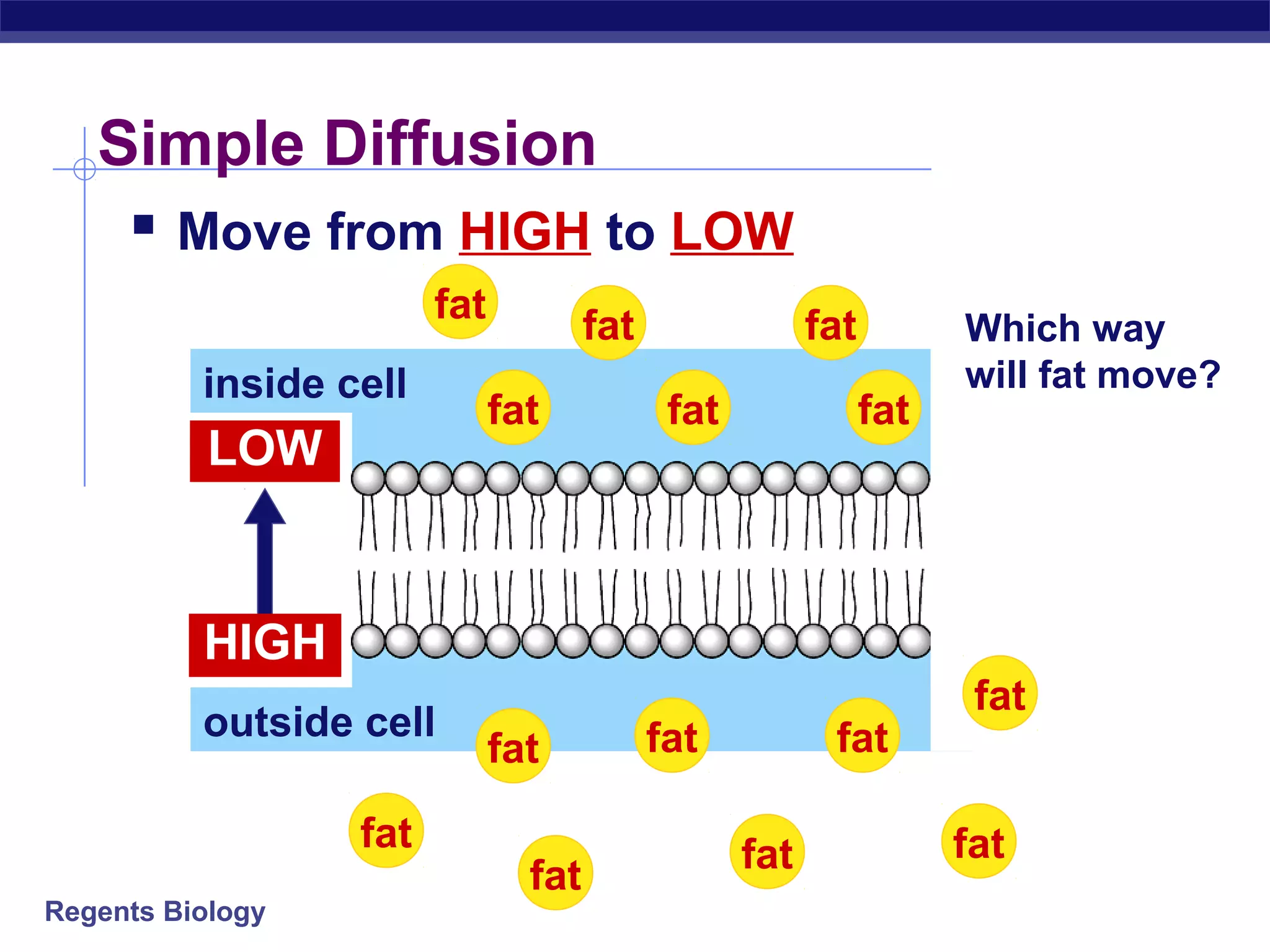 Simple Diffusion 
 Move from HIGH to LOW 
inside cell 
outside cell 
Regents Biology 
Which way 
will fat move? 
fat 
fat 
fat 
fat 
fat 
fat fat 
fat fat 
fat 
fat 
fat 
fat 
fat 
LOW 
HIGH 
 