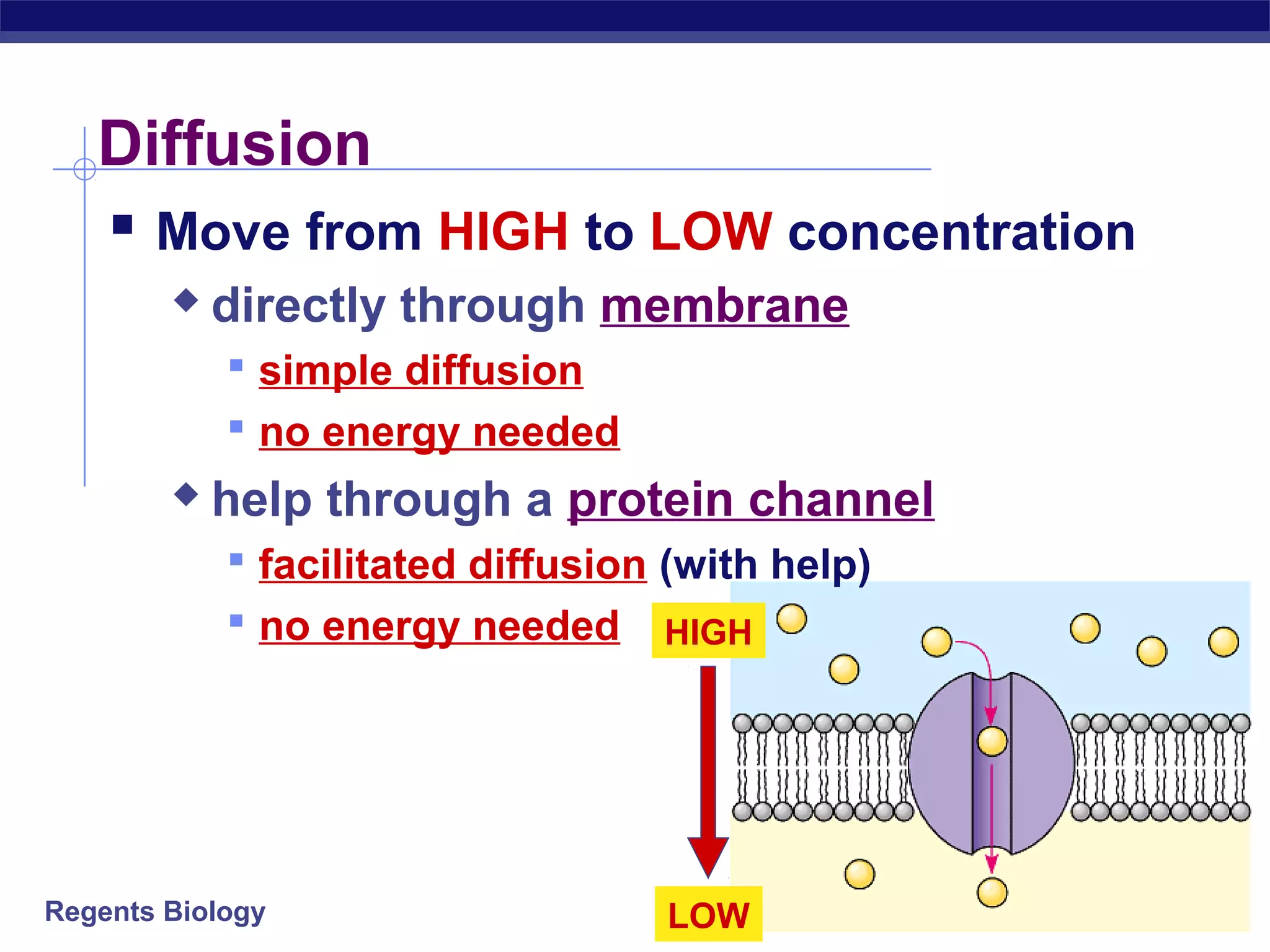 Diffusion 
 Move from HIGH to LOW concentration 
 directly through membrane 
 simple diffusion 
 no energy needed 
 help through a protein channel 
 facilitated diffusion (with help) 
 no energy needed HIGH 
Regents Biology 
LOW 
 