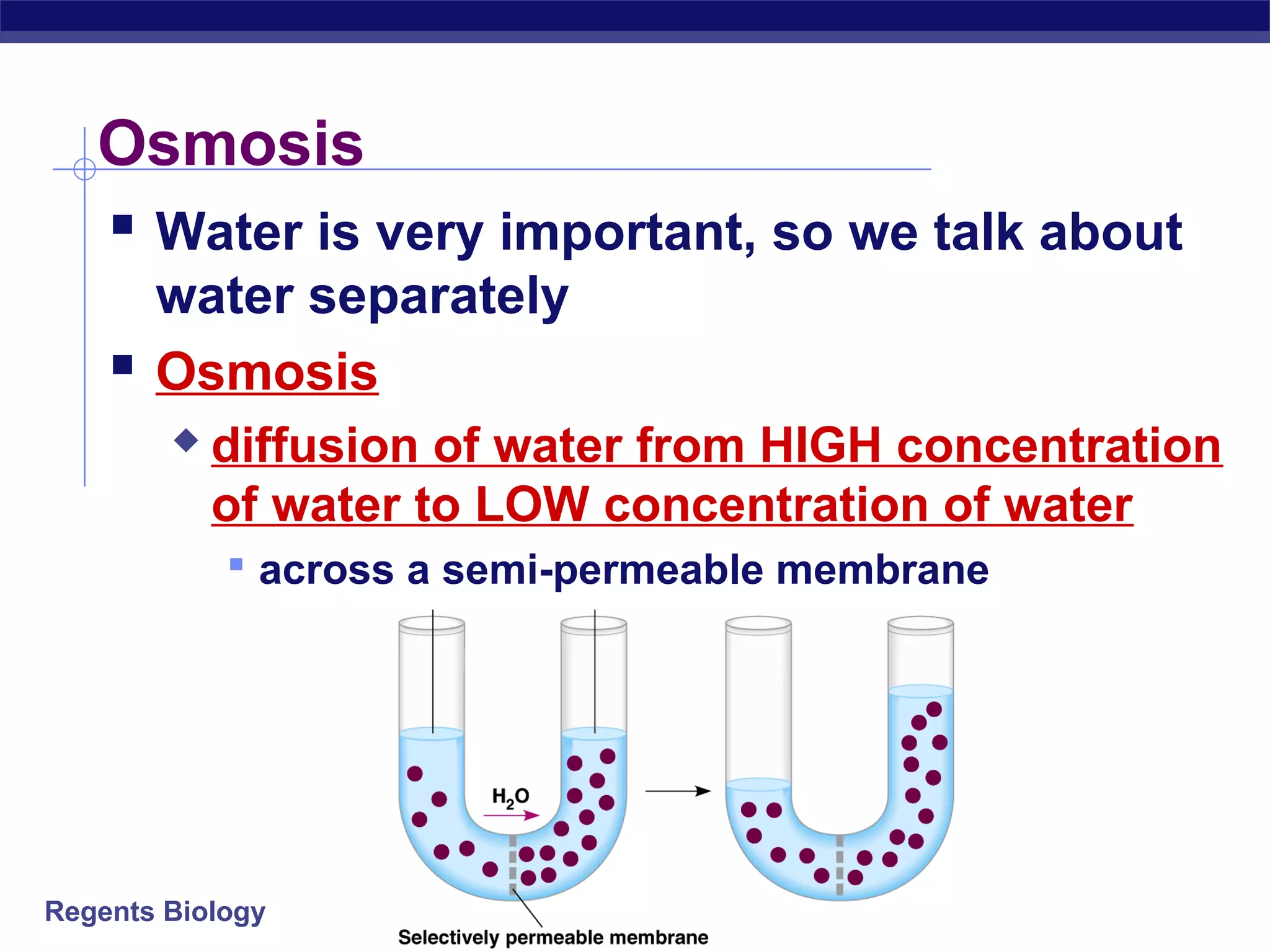 Osmosis 
 Water is very important, so we talk about 
water separately 
 Osmosis 
 diffusion of water from HIGH concentration 
of water to LOW concentration of water 
 across a semi-permeable membrane 
Regents Biology 
 