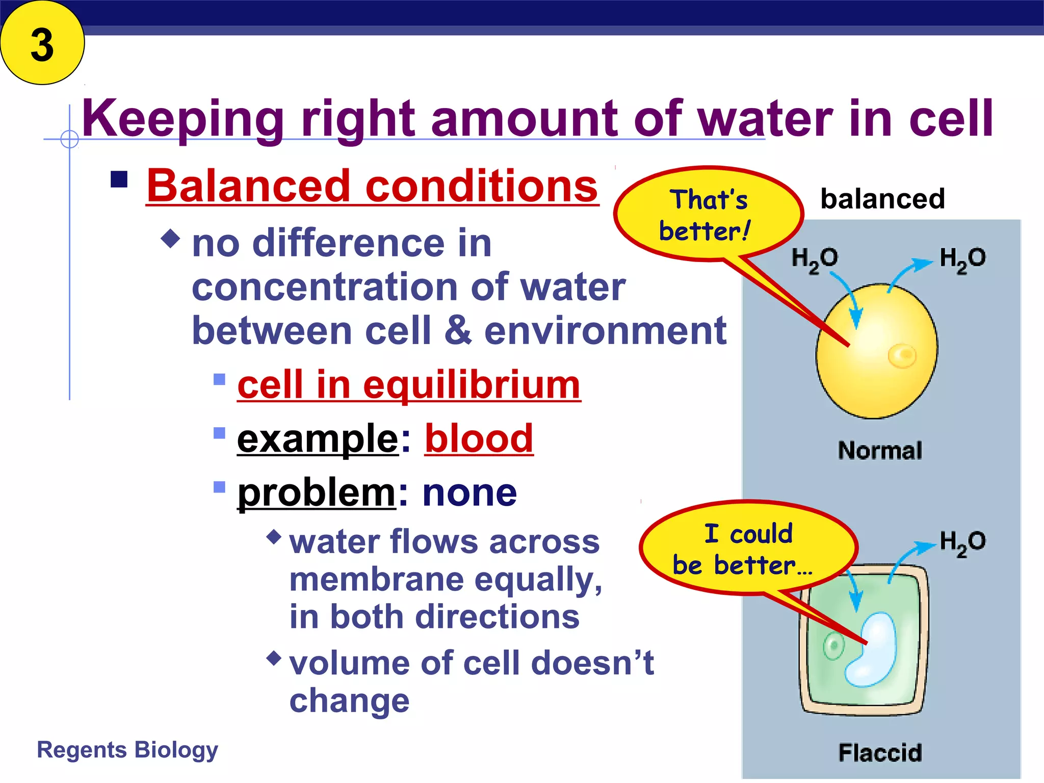 Keeping right amount of water in cell 
 Balanced conditions 
That’s 
better! 
 no difference in 
concentration of water 
between cell & environment 
 cell in equilibrium 
 example: blood 
 problem: none 
Regents Biology 
water flows across 
membrane equally, 
in both directions 
volume of cell doesn’t 
change 
balanced 
I could 
be better… 
3 
 