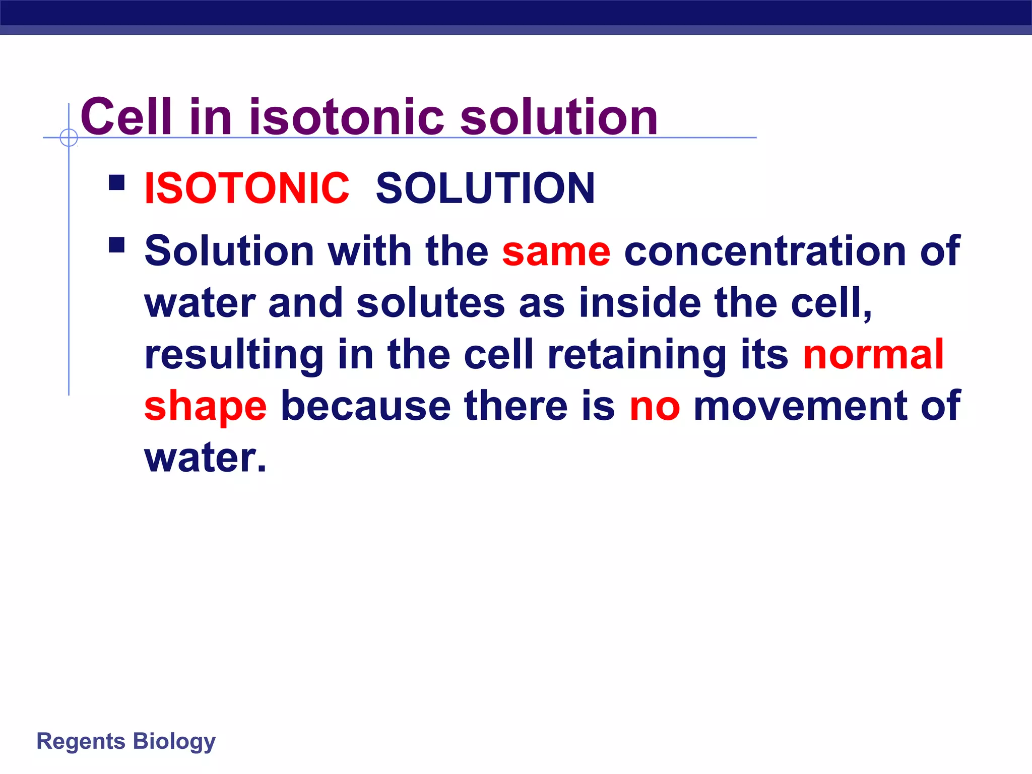 Cell in isotonic solution 
 ISOTONIC SOLUTION 
 Solution with the same concentration of 
water and solutes as inside the cell, 
resulting in the cell retaining its normal 
shape because there is no movement of 
water. 
Regents Biology 
 