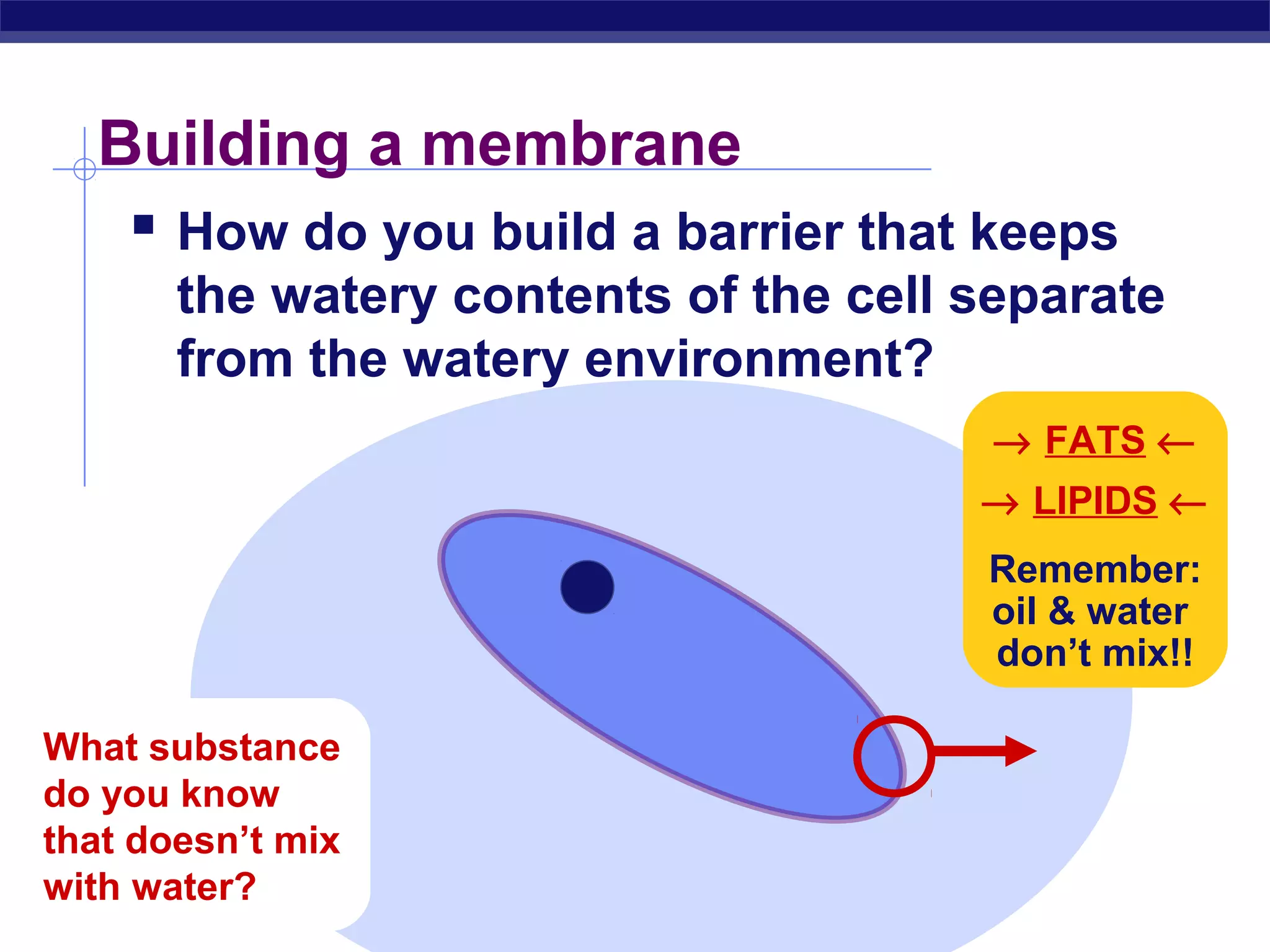 Building a membrane 
 How do you build a barrier that keeps 
the watery contents of the cell separate 
from the watery environment? 
What substance 
do you know 
that doesn’t mix 
with water? 
Regents Biology 
® FATS ¬ 
® LIPIDS ¬ 
Remember: 
oil & water 
don’t mix!! 
 