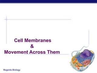Cell Membranes 
Regents Biology 
& 
Movement Across Them 
 