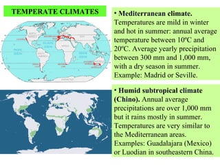 • Mediterranean climate.
Temperatures are mild in winter
and hot in summer: annual average
temperature between 10ºC and
20ºC. Average yearly precipitation
between 300 mm and 1,000 mm,
with a dry season in summer.
Example: Madrid or Seville.
• Humid subtropical climate
(Chino). Annual average
precipitations are over 1,000 mm
but it rains mostly in summer.
Temperatures are very similar to
the Mediterranean areas.
Examples: Guadalajara (Mexico)
or Luodian in southeastern China.
TEMPERATE CLIMATES
 
