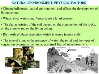 NATURAL ENVIRONMENT: PHYSICAL FACTORS
• Climate influences natural environment and affects the development of
living beings.
• Winds, river waters and floods cause a lot of erosion.
• The characteristics of the soil depend on the composition of the rocks,
on the climate and on the living beings.
• Rich soils produce vegetation which is scarce in poor soils.
• The type of climate, the presence of water, the relief and the types of
vegetation determine the fauna, or animal life, of an environment.
 