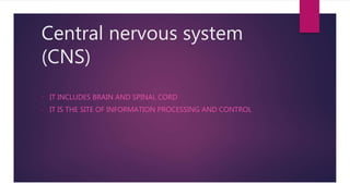 Central nervous system
(CNS)
• IT INCLUDES BRAIN AND SPINAL CORD
• IT IS THE SITE OF INFORMATION PROCESSING AND CONTROL
 