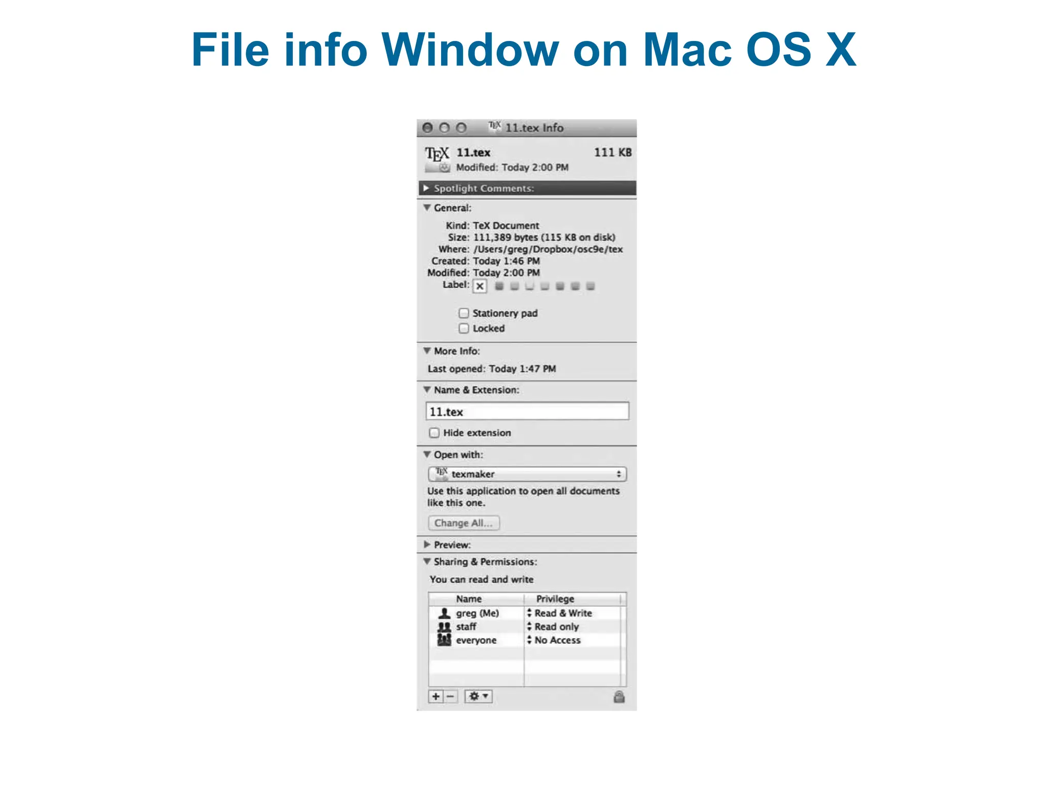 File info Window on Mac OS X
 
