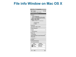 File info Window on Mac OS X
 