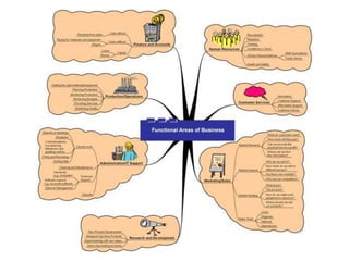functional areas of tesco