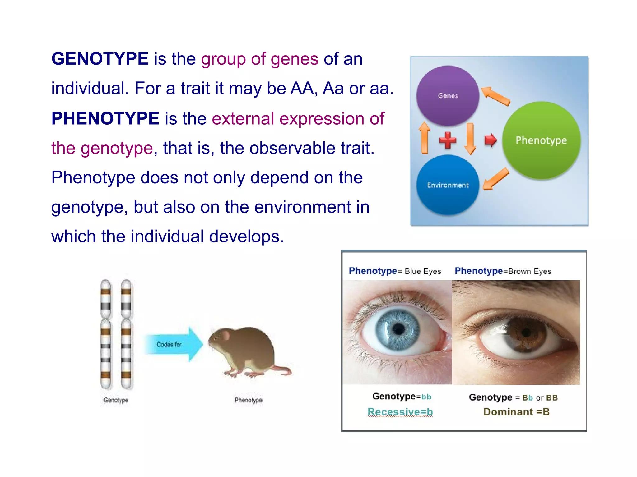 Unit3 genetics | PDF