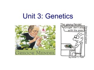 Unit 3: Genetics

 