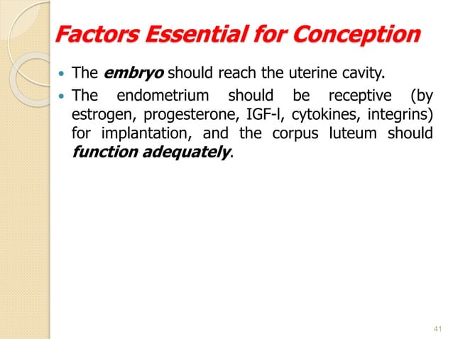 Special radiographic procedure -Hysterosalpingography.pptx | Pregnancy ...