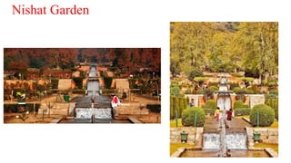 Nishat Garden
 