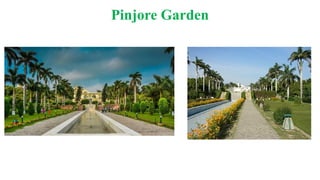 Pinjore Garden
 