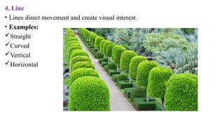 4. Line
• Lines direct movement and create visual interest.
• Examples:
Straight
Curved
Vertical
Horizontal
 