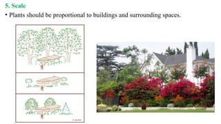 5. Scale
• Plants should be proportional to buildings and surrounding spaces.
 