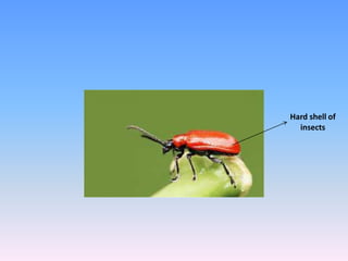 Unit 3 lesson 3 | PPTX