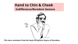 Hand to Chin & Cheek
Indifference/Boredom Gesture
Fig.
28
-The more assistance from the hand, the greater degree of boredom.
 