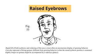 Raised Eyebrows
Fig.
53
-Rapid lift of both eyebrows and widening of the eyes is most often an unconscious display of greeting behavior.
-Can also represent a flirting gesture; different from greeting behavior in that the raised eyebrow position is sustained
slightly longer (or gesture might be accompanied by a sideways glance).
 