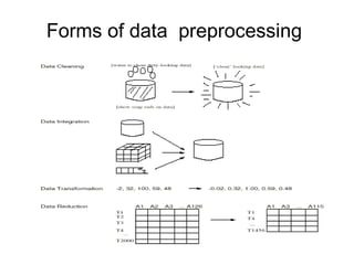 Forms of data preprocessing
 