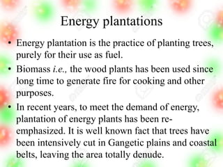 Energy plantations
• Energy plantation is the practice of planting trees,
purely for their use as fuel.
• Biomass i.e., the wood plants has been used since
long time to generate fire for cooking and other
purposes.
• In recent years, to meet the demand of energy,
plantation of energy plants has been re-
emphasized. It is well known fact that trees have
been intensively cut in Gangetic plains and coastal
belts, leaving the area totally denude.
 