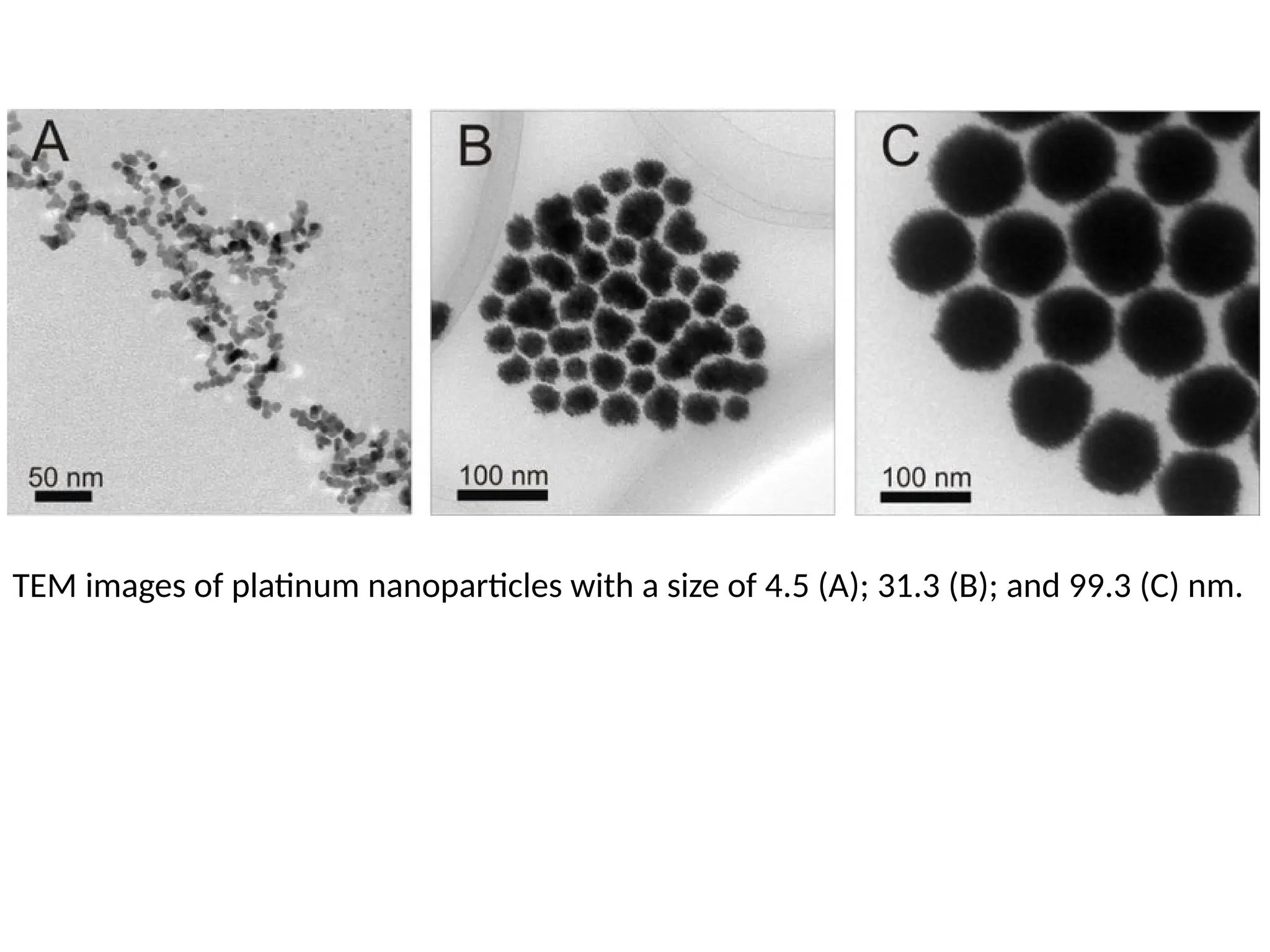 TEM images of platinum nanoparticles with a size of 4.5 (A); 31.3 (B); and 99.3 (C) nm.
 