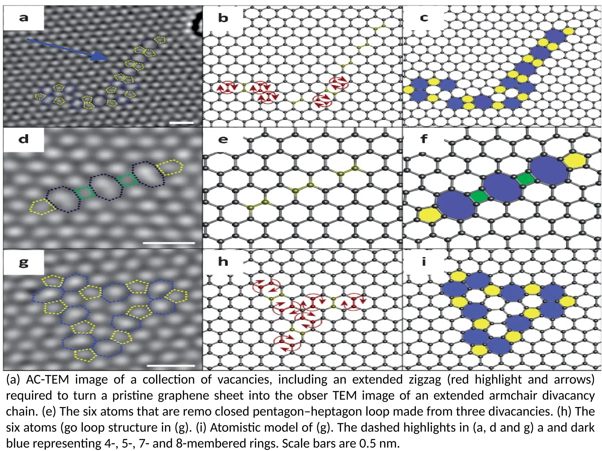 (a) AC-TEM image of a collection of vacancies, including an extended zigzag (red highlight and arrows)
required to turn a pristine graphene sheet into the obser TEM image of an extended armchair divacancy
chain. (e) The six atoms that are remo closed pentagon–heptagon loop made from three divacancies. (h) The
six atoms (go loop structure in (g). (i) Atomistic model of (g). The dashed highlights in (a, d and g) a and dark
blue representing 4-, 5-, 7- and 8-membered rings. Scale bars are 0.5 nm.
 