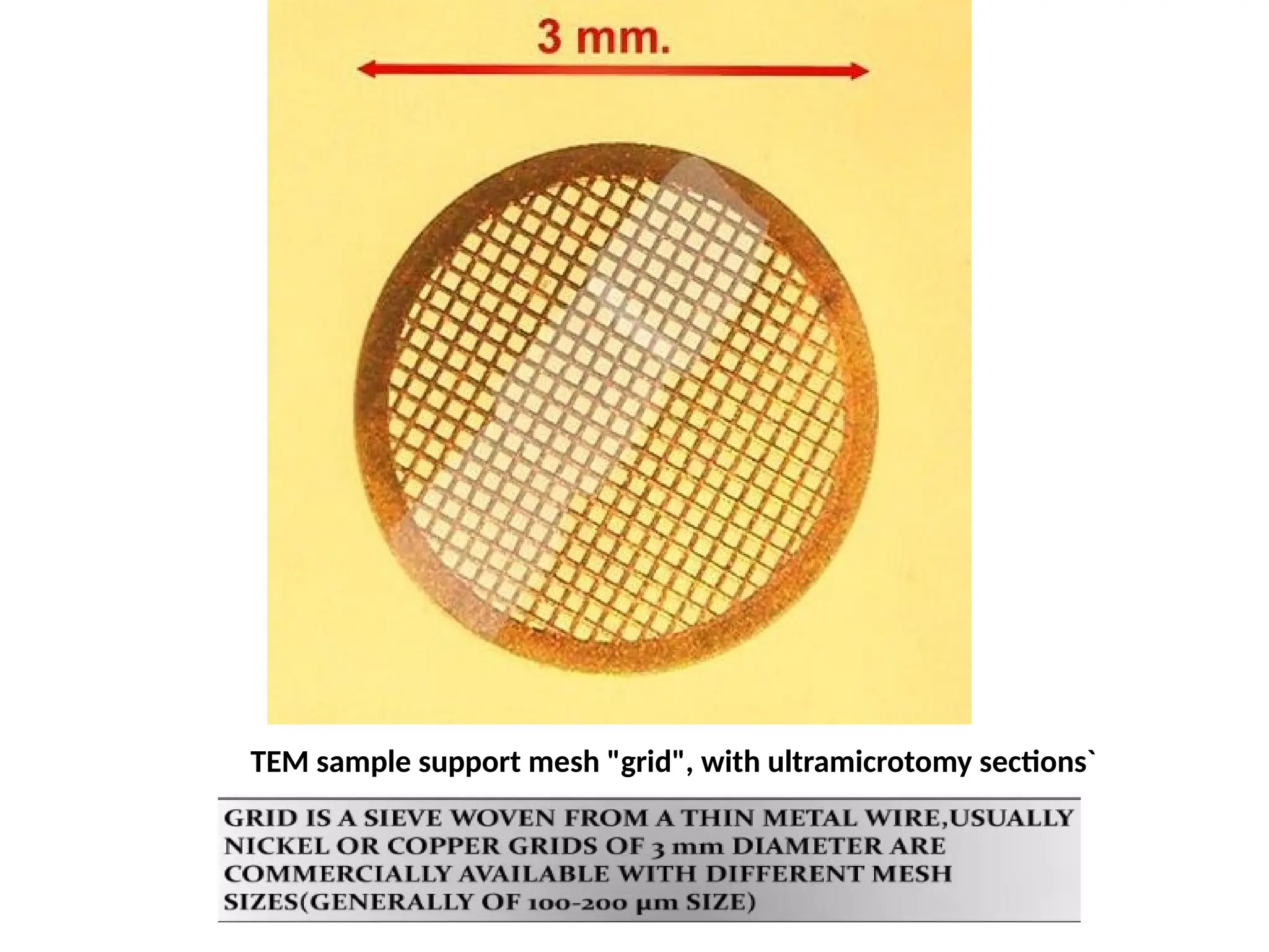 TEM sample support mesh "grid", with ultramicrotomy sections`
 